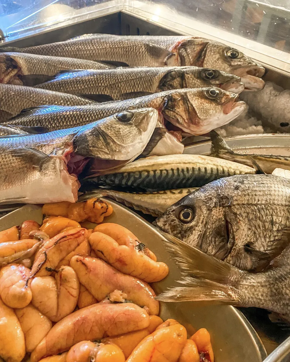 Robalos, cavalas e dourada na vitrine, com ovas de peixe galo